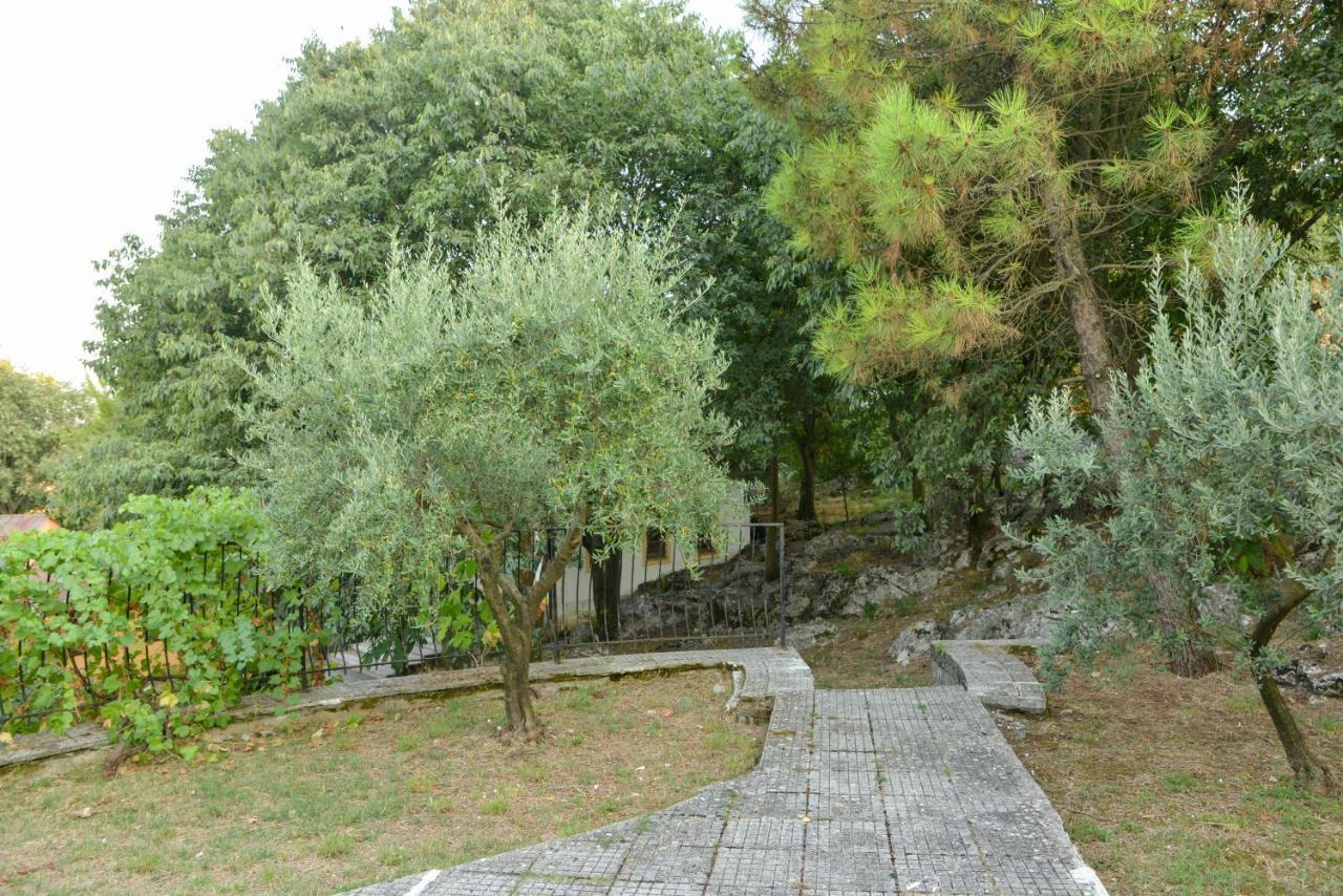 Village Of Peace - House 38 Shkodra Exterior foto
